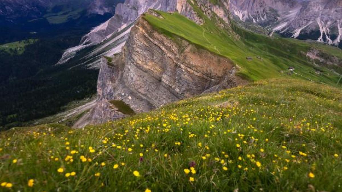 Vue imprenable paysages montagne verte ciel bleu ete dolomites italie 67092 434